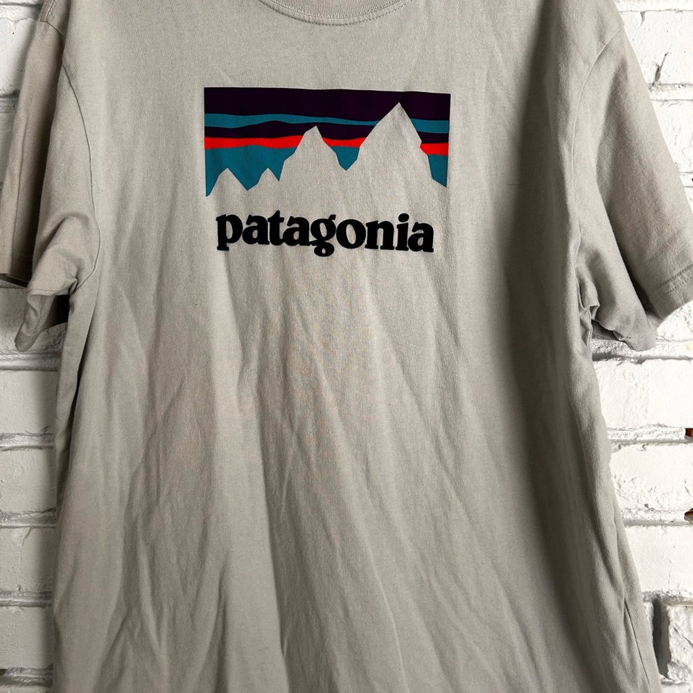 Patagonia Stone Gray Mountain Tee